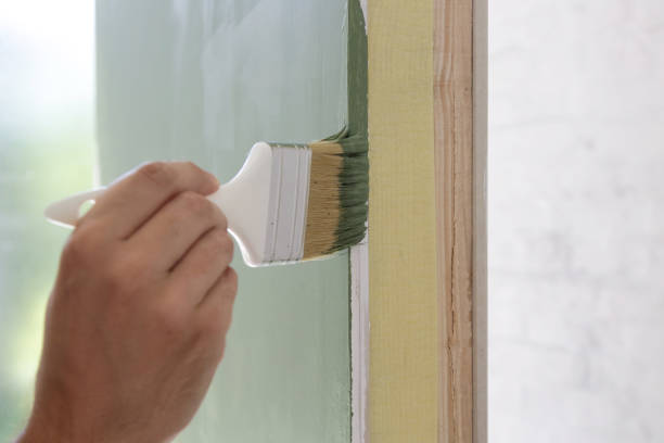 Trusted Laconia, NH Mold Removal Experts