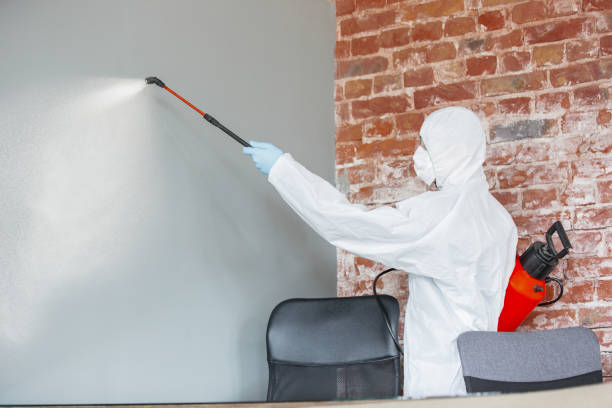 Best Post-Construction Mold Inspection  in Laconia, NH