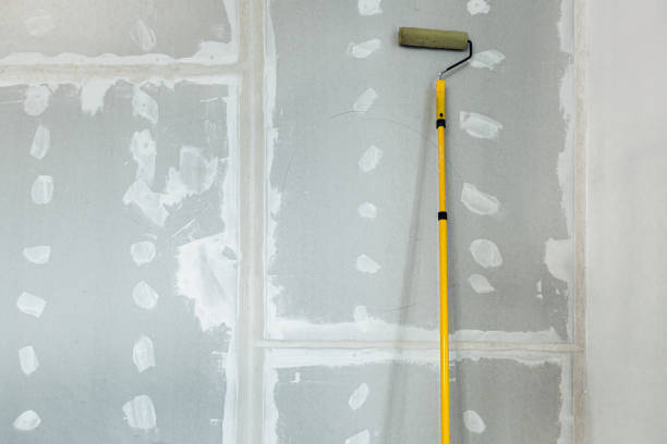 Best Black Mold Removal  in Laconia, NH